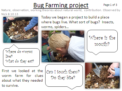 Bug Farming Project